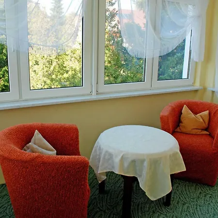 Waldblick In